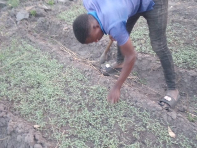 cv holds farm gallery (45)